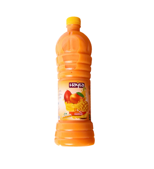 BOISSON AU JUS HAYLA MANGUE 1L
