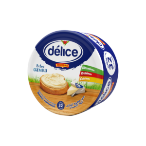 FROMAGE TRIANGLE 32P MILKANA DELICE