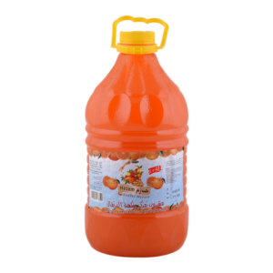 JUS FRUITS 4L orange HAZEM
