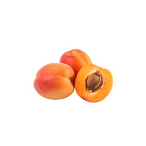 ABRICOT FRAIS