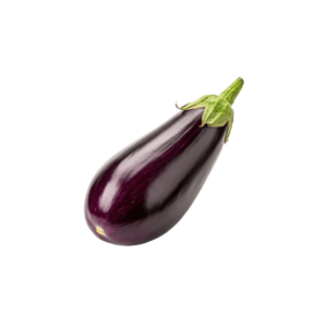 AUBERGINE