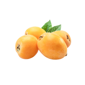 NEFLES FRAIS