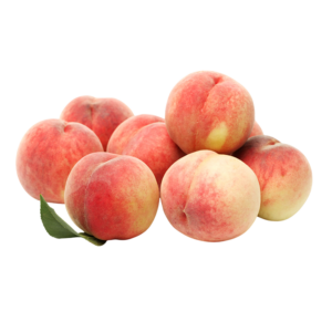PECHE FRAIS