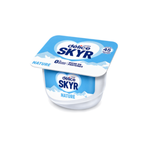 FROMAGE BLANC DELICE SKYR NATURE 90GR